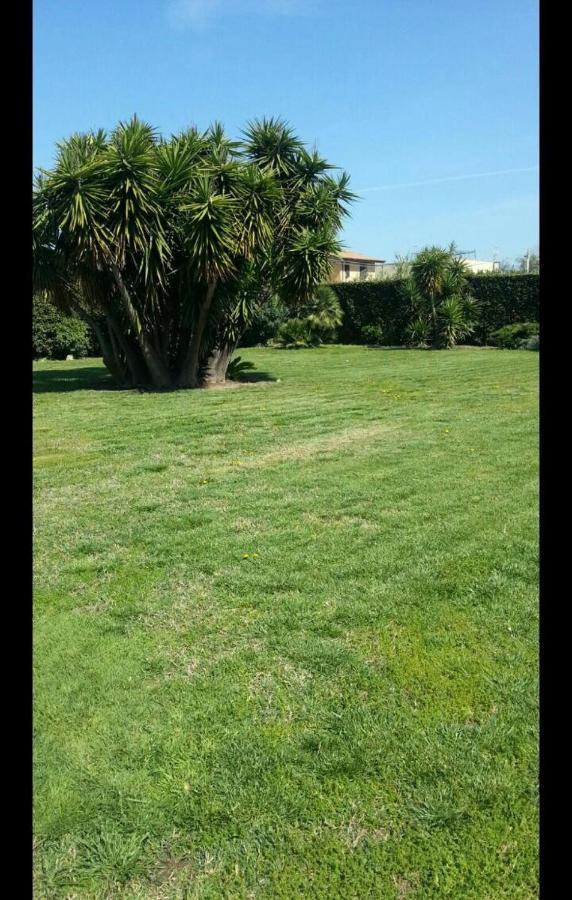 Апартаменты Garden Basement - Seminterrato Max 4 Ospiti - Fiumicino Vicino Aeroporto E Fiera Экстерьер фото