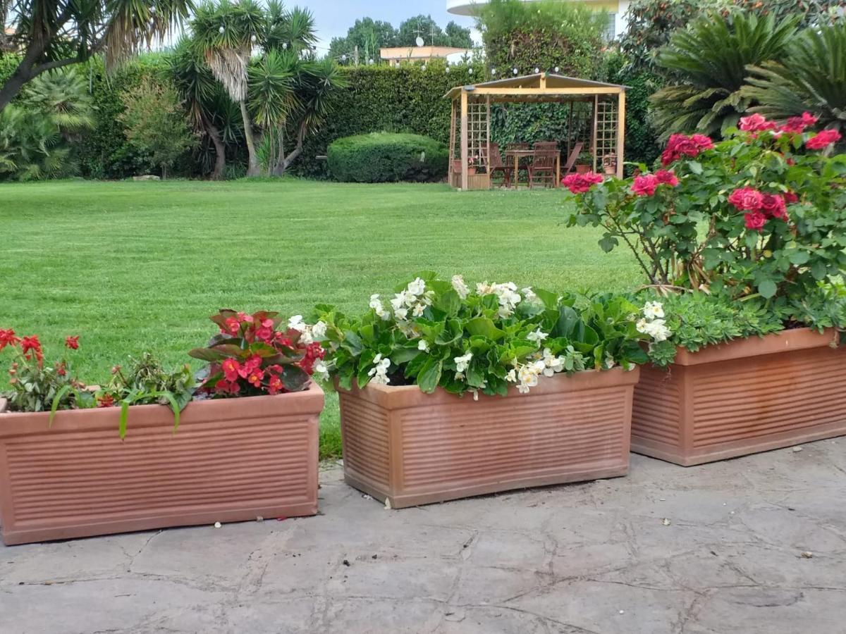 Апартаменты Garden Basement - Seminterrato Max 4 Ospiti - Fiumicino Vicino Aeroporto E Fiera Экстерьер фото
